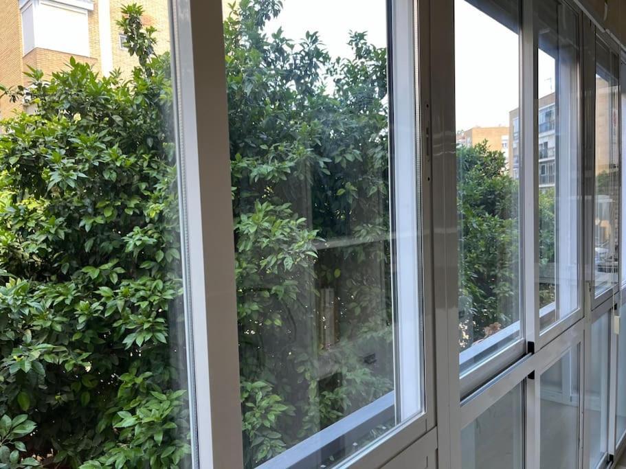 Triana Family Suites Sevilla Eksteriør bilde